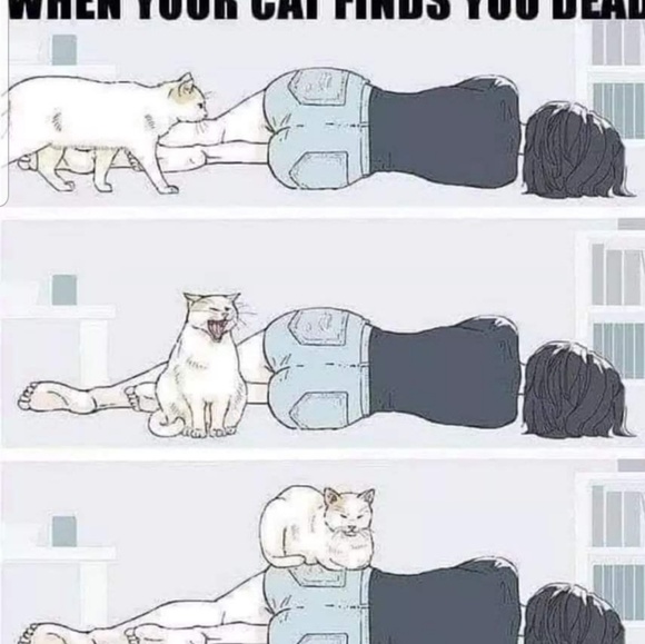 Meet your Posher, Julia - Picture 1 of 1